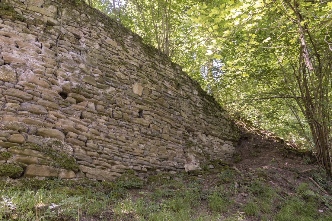 Äußere Ringmauer von Alt-Wolfstein