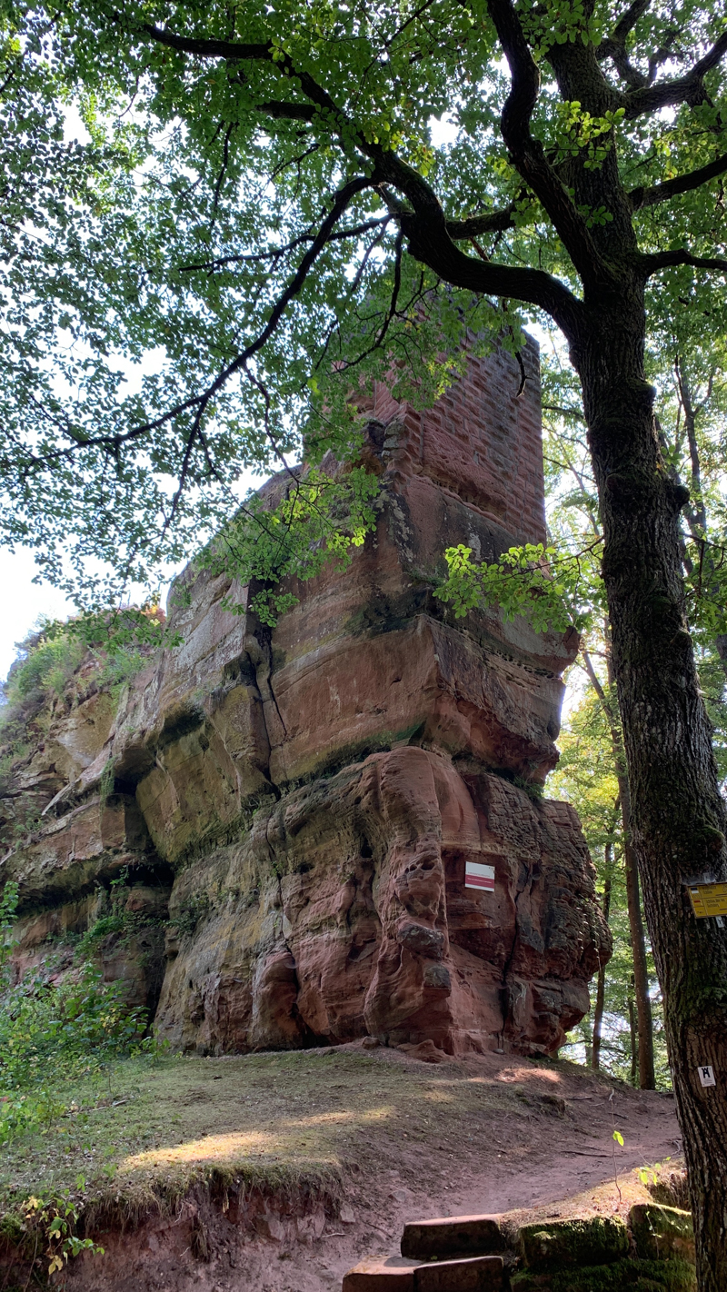 Westliche Schmalseite mit Hoher Mantelmauer der Burg Blumenstein