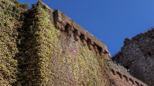 Die Außenmauer des Südzwingers, aus verschiedenen Steinarten geschichtet, ist noch bis in die Höhe des Wehrganges zu sehen. Ein rechteckiger Flankierungturm, 1986- 1987 restauriert, springt aus der Mauer vor. Seine Auskragung ruht auf Doppelkonsolen. Die auf Stichbögen sitzende Auskragung des Wehrgangs ist zum Teil noch erhalten und wurde im Osten erneuert.