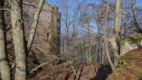 Um einen Angriff durch oder über die mächtige Schildmauer zu verhindern, musste der Halsgraben ausreichend tief und breit sein. Breit, um das Heranrücken an die toten Räume unmittelbar an der Schildmauer zu erschweren. Tief, um die zum Überwinden des Hindernisses erforderliche Zeit zu verlängern, während der ein vernichtendes Abwehrfeuer aus Hakenbüchsen und Kanonen (auf kurze Distanz mit Hagelschuss) auf das schutzlose Fußvolk gerichtet wurde.