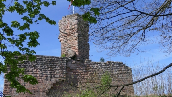 Bergfried überragt die Schildmauer