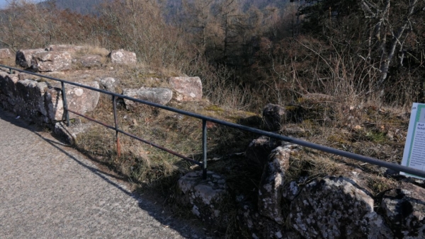 Die Schildmauerplattform trug bereitss 1542 zwei Falkonetts, die vermutlich auf den verbreiterten, daher turmartig wirkenden Enden der Schildmauer wirken sollten. Weiterhin ist der Einsatz von Handwaffen (Haken, Doppelhaken), die entlang der Zwingermauern und der Feldseite der Schildmauer wirken konnten, wahrscheinlich.Die Plattform war wohl überdacht, um das Pulver trocken zu halten. Neben der Abgabe von Frontalfeuer gegen die Hauptangriffsseite konnten man auch die vom Dorf Ramberg und vom Hainbachtal heraufführenden Wege unter Feuer nehmen.