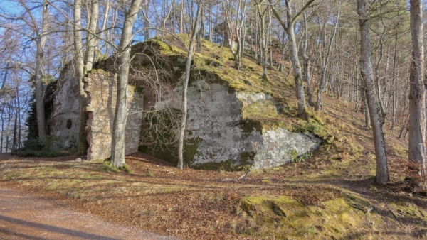Ein riesiger in den Fels geschroteter Halsgraben bildete ein wirksames Hindernis gegen heranrückenden Feind mit Belagerungsgerät. Der Halsgraben war mit einer Brücke überspannt, die im letzten Teil nächst der Schildmauer als Zugbrücke ausgeprägt war. 1930 noch beschriebene Pfeilerreste der Brücke sind heute nicht mehr vorhanden. An die Ostseite des Grabens war ein Gebäude angesetzt, von dem noch Teile der Süd- und Nordmauer stehen.