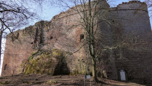 Schildmauer mit Schießscharten auf mehreren Ebenen in Ansicht aus Nordosten. Rechts am Fuße des Schildmaueranbaus befindet sich der ehemalige Burgzugang (15.Jhdt), der durch den Nordanbau der Schildmauer in den Nordzwinger führte. Später wurde der Hauptzugang nach links (südlich) um die Burg herum verlegt (16.Jhdt).