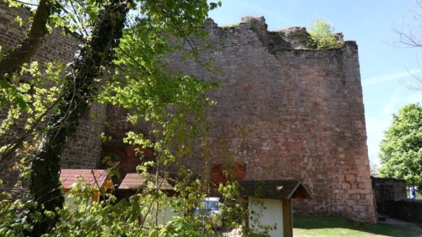 Die Schildmauer der altem Burg wurde als ein 5m dicker und 20m langer Mauerriegel gegen die Feindangriffsseite aus Richtung des Kahlenberges erbaut. Die Wallkrone trug einen Wehrgang. Etwa ab Mitte des Mauer schwenkt diese leicht nach innen (Bildseite rechts)