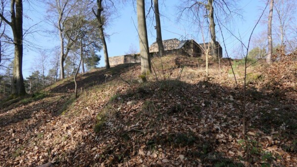 Der Burgweg führt in Teilen steil bergauf und verlangt dem ungeübten Spaziergänger Einiges abverlangt. Nicht zu Unrecht ist das Schlössel eine "Höhenburg".