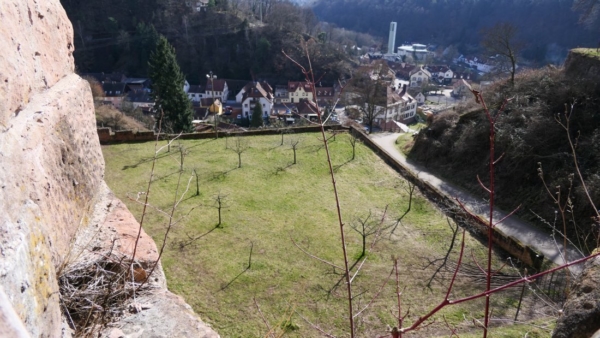 Der Lustgarten ist wohl um 1587 entstanden. Der Bereich südlich der Burg wurde auf einem Areal von 52 auf 63m mit einer schwachen Mauer umgeben und als Lustgarten angelegt. Heute versprüht die Grasfläche wenig Charme.