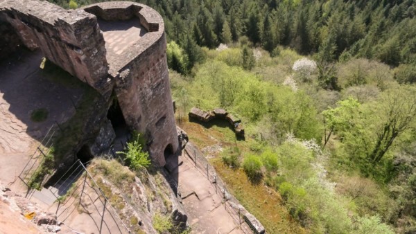 Der steile Südhang unterhalb der Burg Altdahn machte Feindangriffe von dieser Seite nahezu unmöglich. Steiler Südhang von Altdahn