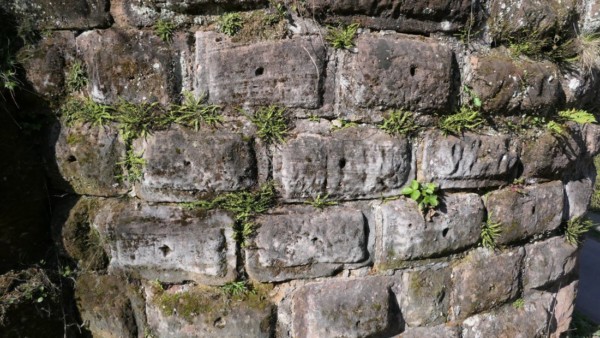 Buckelquadermauerwerk am Flankierungsturm aus dem 15. Jh.