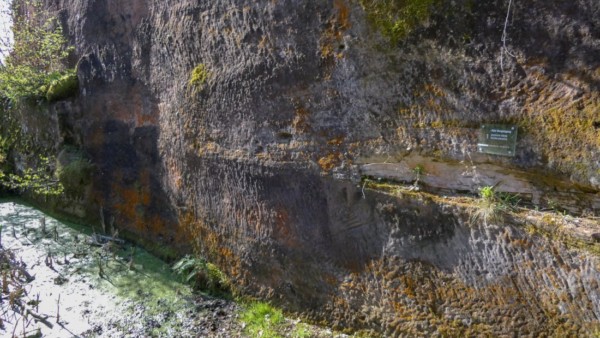 Hals-Wassergraben von Altdahn