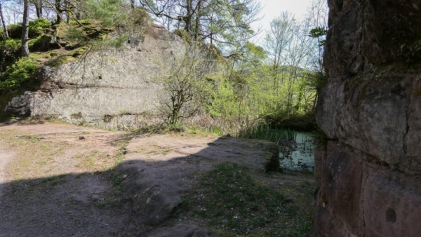 Ausgeschroteter Halsgraben der Altdahner Mantelmauer Halsgraben der Burg Altdahn zur Feldseite