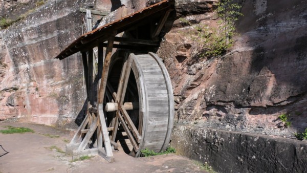 Replik eines Tretrad-Baukranes auf Burg Altdahn Replik eines Holzkranes mit Laufrad auf Burg Altdahn