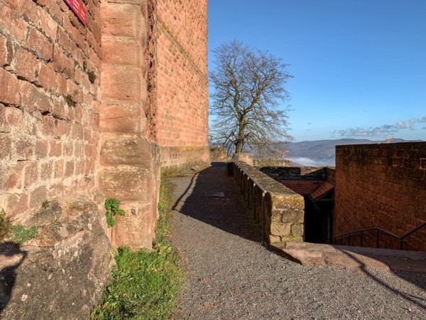 Die Quaderverkleidung von Turm und Palas sind auf der Ostseite über den Kemfelsen auf dem Burghof heruntergezogen. Hierdurch hat man ihr monumentales Erscheinungsbild deutlich gestärkt.
Etwa 1,5m über dem östlichen Burghof befindet sich ein leicht zurückspringendes Sockelgesims. Sockelgesims an Turm und Palas des Trifels