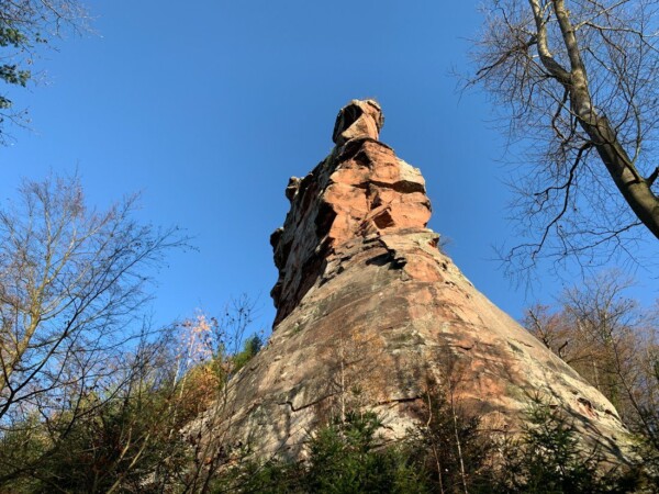 Der Besucher des Trifels kommt auf seinem Weg an dem unten glatt abgearbeiteten, oben kantigen, Felsenriff vorbei, das die Burg trägt, ohne sie aber von hier aus bereits sehen zu können. Südseite des den Trifels tragenden Felsenriffs auf dem Sonnenberg