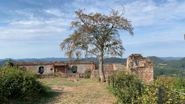 Blick von der Nordostecke der Burg Lindelbrunn auf den Palas Blick von der Nordostecke der Burg Lindelbrunn auf den Palas