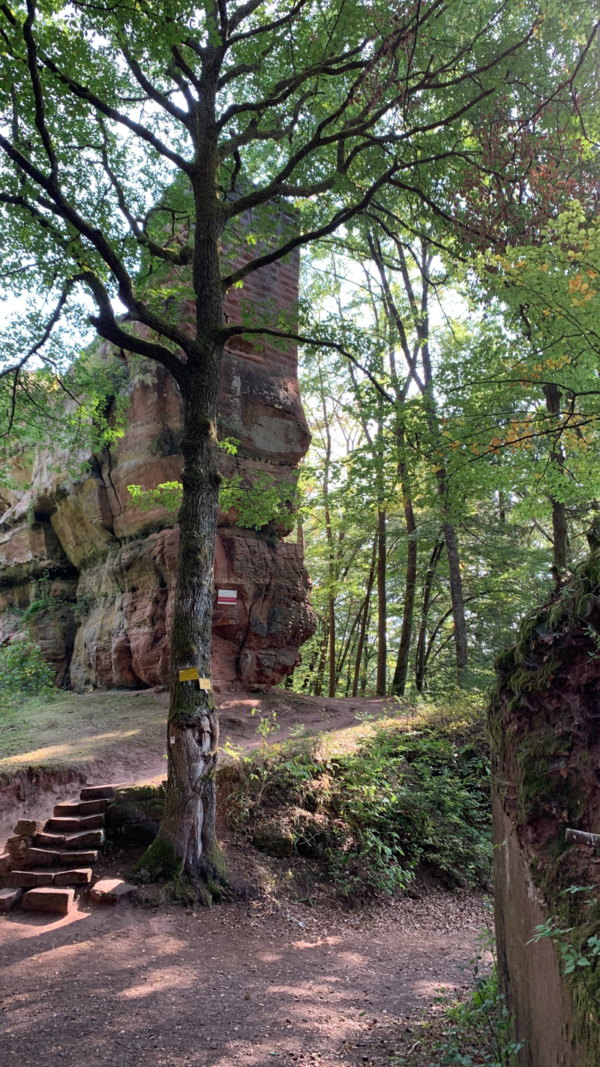 Der Weg vom Parkplatz "An der Schanze" endet unmittelbar im ehemaligen Halsgraben der Burg. Ehemaliger Halsgraben ist heute Wanderweg