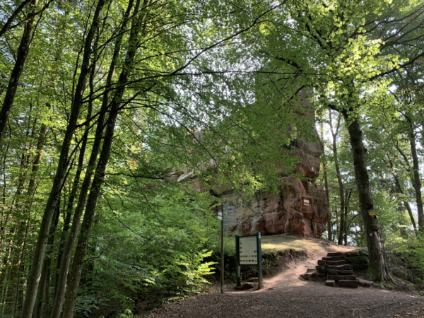 Neuzeitliche Treppenstiege vom Halsgraben zum Felsenriff mit der Mantelmauer der Burg Blumenstein Halsgraben mit hoher Mantelmauer auf dem Felsenriff