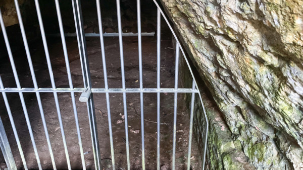 Der Gewölbekeller ist für den Besucher aktuell nicht zugänglich. Verriegelter tonnengewöelbter Keller des Steinernen Hauses