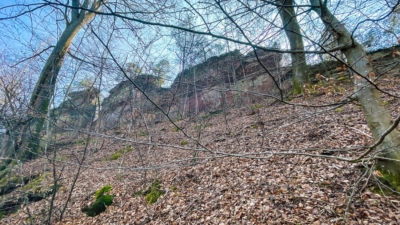 In der vegetationsarmen Zeit kann man das Felsenriff der Falkenburg schon früh erkennen. Der Nordhang unterhalb der Burg ist sehr steil und es bot sich einem Feind kaum die Möglichkeit einer Annäherung mit schwerer Ausrüstung. Burgweg unterhalb der Falkenburg