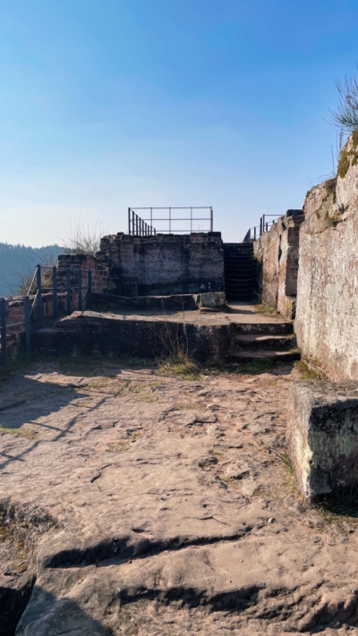Die Gebäude im Wohnbereich der Oberburg waren im östlichen Bereich unterkellert. An der Nordseite (Abb. rechts) des Wohntrakts entlang der glatt abgeschlagenen Felswand verlief ein Gang. Dieser Teil des Wohnbereichs war 1427 dem Grafen von Leiningen zugeordnet. Reste der Keller des Wohntrakts