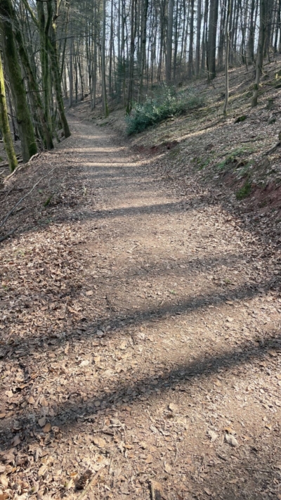 Im unteren Abschnitt verläuft der Burgweg noch mäßig steil. Doch das ändert sich schon bald. Unter Abschnitt des Weges hoch zur Falkenburg
