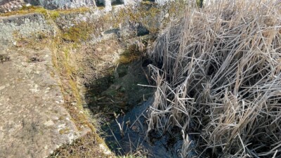 Blick in das mit Schilfgras bestandene Zisternenbecken. Die Zisterne ist in der Teilungserklärung von 1527 nicht aufgeführt, weshalb sie vermutlich erst danach angelegt worden ist. Zisterne westlich des Sockels vom Bergfried