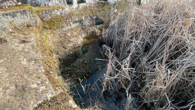 Blick in das mit Schilfgras bestandene Zisternenbecken. Die Zisterne ist in der Teilungserklärung von 1527 nicht aufgeführt, weshalb sie vermutlich erst danach angelegt worden ist. Zisterne westlich des Sockels vom Bergfried