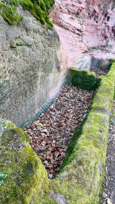 Unmittelbar hinter der Toranlage finden sich zwei Felsbecken, von 3 bzw. 2 Meter Länge, die vermutlich als Viehtränke genutzt wurden. Denkbar ist auch (zumindest zeitweise) die Nutzung als Fischbecken, eine Nutzungsart, die wir auch auf Burg Neuscharfeneck finden. Zwei Viehtröge in der Unterburg hinter dem Torhaus
