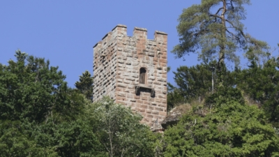 Der Turm der Burg Erfenstein ragt in in 265 Meter Höhe über die Wipfel des Waldes hinaus und ist vom Speyerbachtal 80 Meter tiefer gut zu erkennen. Bergfried von Burg Erfenstein vom Tal betrachtet