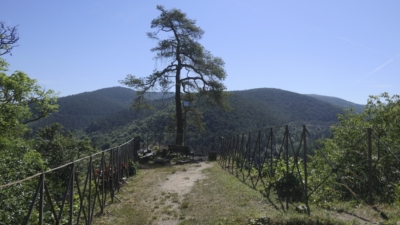 Auf einem schmalen langgezogen Plateau auf der Ostseite der Anlage erstreckte sich auf etwa 20 m Länge die Vorburg von (Neu-)Erfenstein. Ihre Breite verengt sich von 20 m am Treppenaufgang zum Oberburgfels auf 6 Meter zur Talseite. Dass die Vorburg überbaut war, ist zu vermuten, es ist aber kein aufgehendes Mauerwerk mehr vorhanden. Schmale Felszunge der Vorburg im Osten der Burganlage Erfenstein