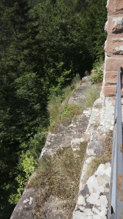 Im Fels an der Südostkante des Bergfrieds sind noch Reste einer kleinen sechsstufigen Felsentreppe zu erkennen. Schwer zu sagen, wo die Treppe ihren Anfang nahm. Unterhalb des hier stark überhängenden Felses verläuft der Südzwinger. Dankbar, dass hier über mit Hilfe einer Hurde der Westteil des Oberburgfelsens zugänglich gemacht wurde. Reste einer Felsentreppe auf der Südseite des Oberburgfelsens