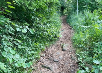 Schmaler Pfad im zweiten Drittel des Wegs Schmaler Pfad im zweiten Drittel des Burgwegs