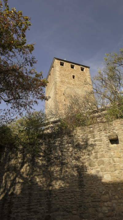 Der 33 Meter hohe Bergfried ist allgegenwärtig in der Burg. Er überragt die meisten Mauern und ist weithin sichtbar. Bergfried hinter Mantelmauer mit Wehrgang aus Osten