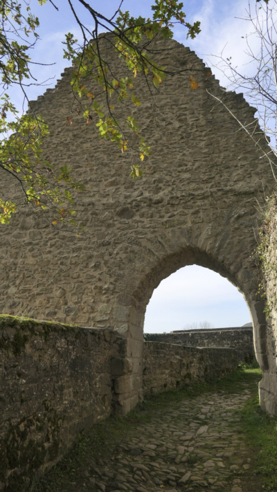 Die Unterburg besaß seit Mitte des 15. Jahrhunderts ein Viertes Tor. Im ersten Obergeschoss des Torhauses befand sich eine reformierte Kapelle. Reste des Giebels des Torhaus zur Unteren Burg