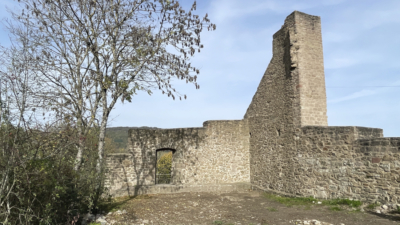Die östliche Wehrmauer der Unterburg kann aufgrund ihrer Höhe und Breite als Schildmauer angesprochen werden. Reste der Schildmauer der Unteren Burg