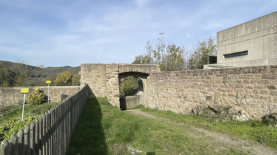 Bei einem Besitz an die Pfalzgrafen von Zweibrücken im 15. Jahrhundert wurde u.a. auch der Bereich zwischen Oberer und Unterer Burg umfriedet . Rundbogiges Tor und dahinterliegender Turm am Kräutergarten