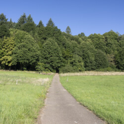 Burgweg zur Wegelnburg unterer Abschnitt