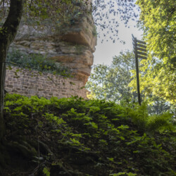 Burgweg zur Wegelnburg: Ziel erreicht