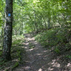 Schon beim Passieren des Ortsschildes NOTHWEILER ist die Wegelnburg auf dem 572m hohen Sindelsberg zu sehen. Das blaue Schild des Sagenwegs gibt gute Orientierung.