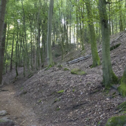 Letzter Abschnitt führt entlang dem Berghang