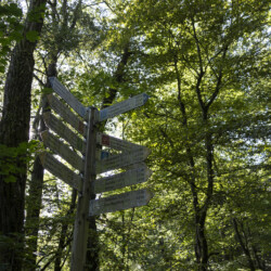 Im Schilderwald immer gut orientiert